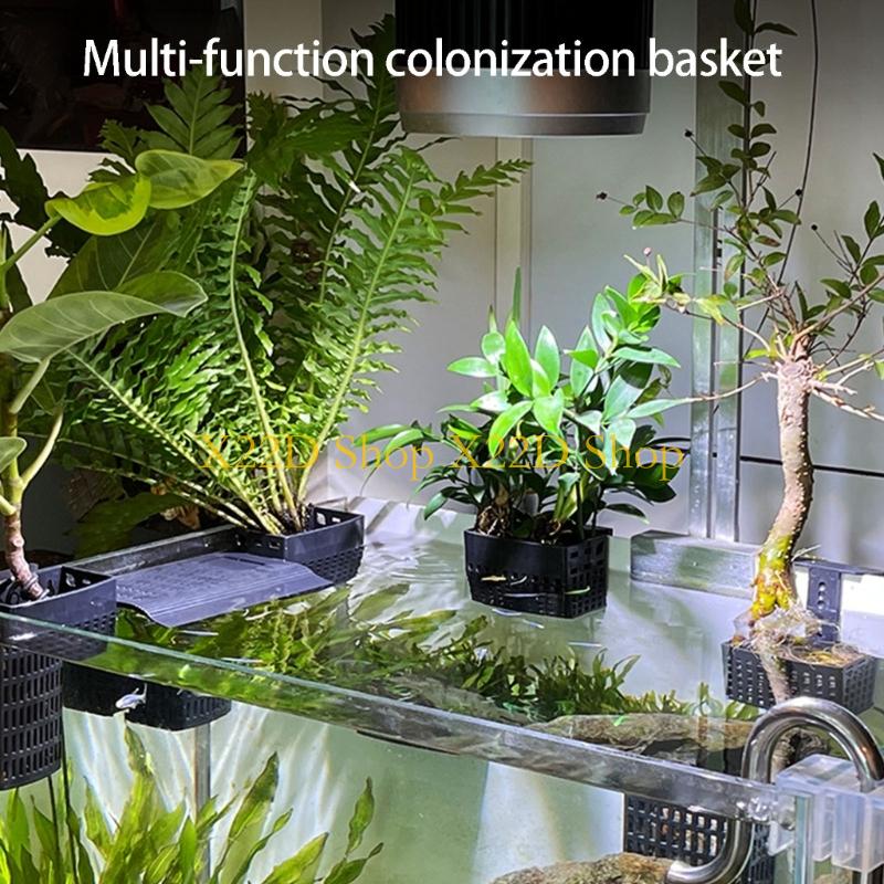 Plant Aquarium Pot - X22D モダン古代スタイル垂直植物ホルダープラスチック壁取り付けコンテナ