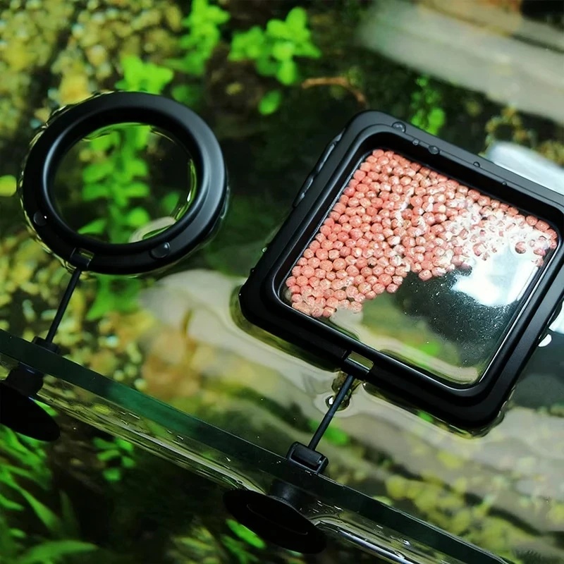Aquarium Fertilizer - 1/3個入り水槽用魚餌リング、水槽用ハート型フローティングステーション、フードトレイ、正方形・円形フィーダー、カップ付き水槽アクセサリー