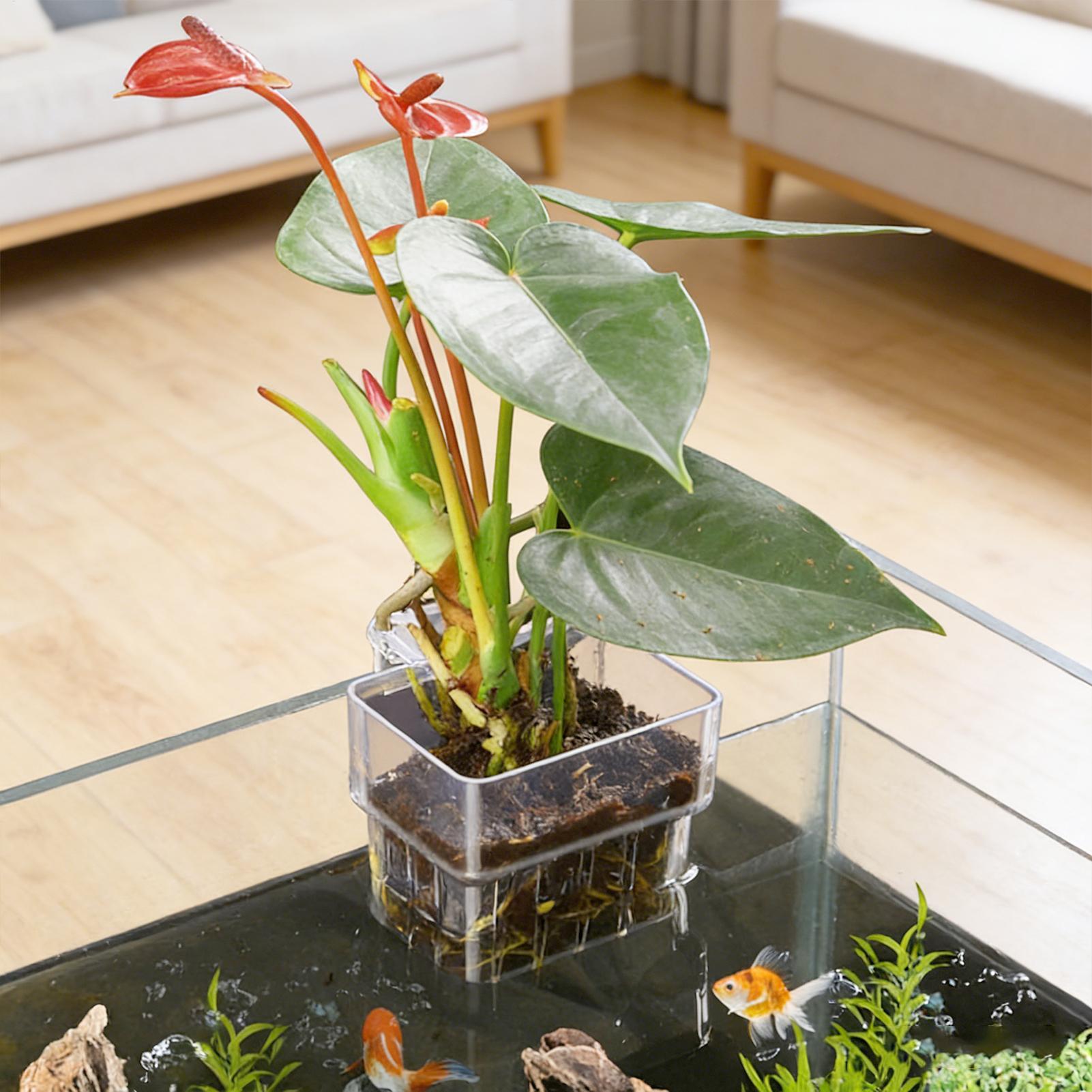 Plant Aquarium Pot - 水槽植物バスケット透明水槽吊り下げ装飾ポット水生植物ホルダー水生植物カップ水槽プランター