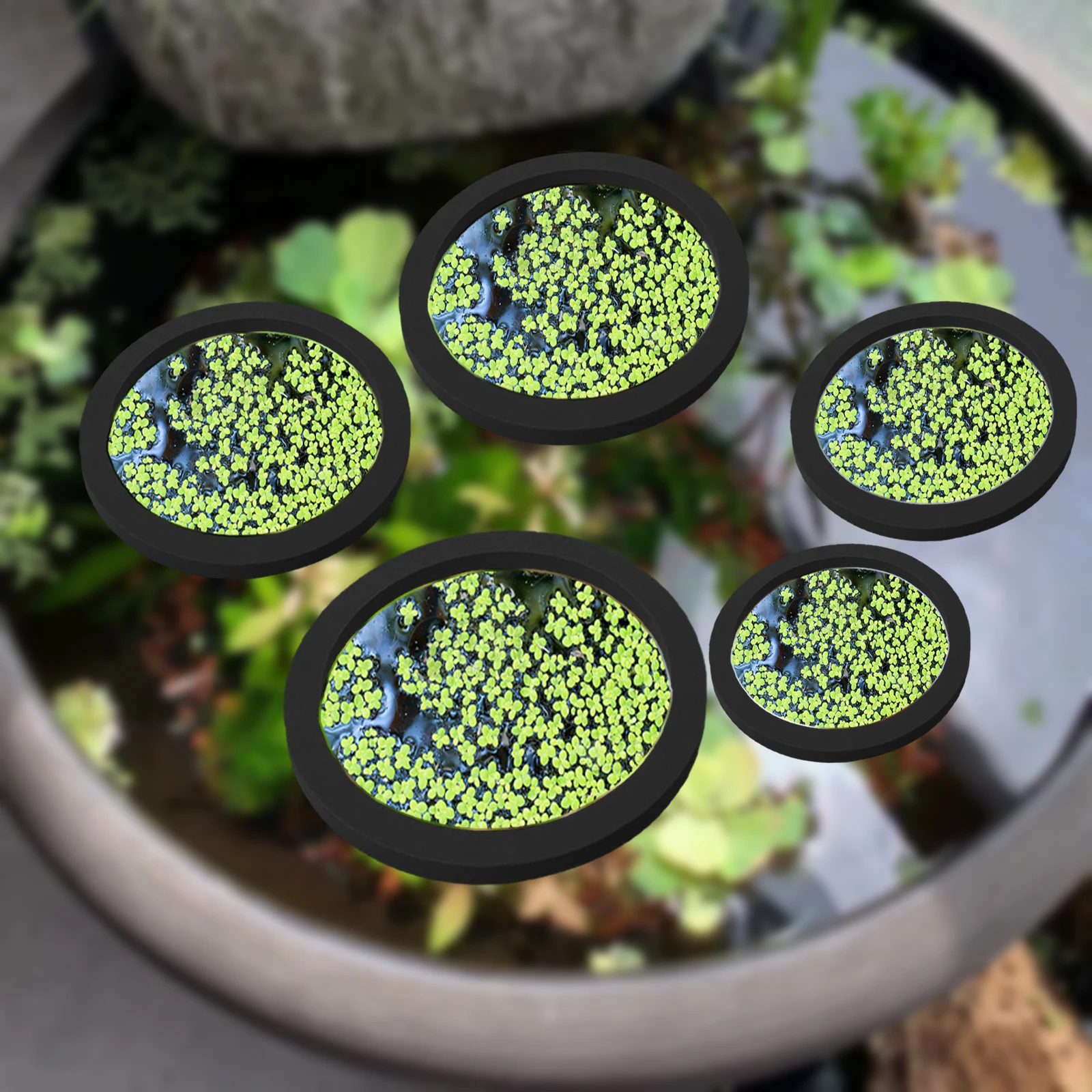 Planted Tank - 5 個 EVA 魚給餌リング水族館浮遊植物囲い水槽フロート植物バリア水族館の池 Accessorie 植物リング