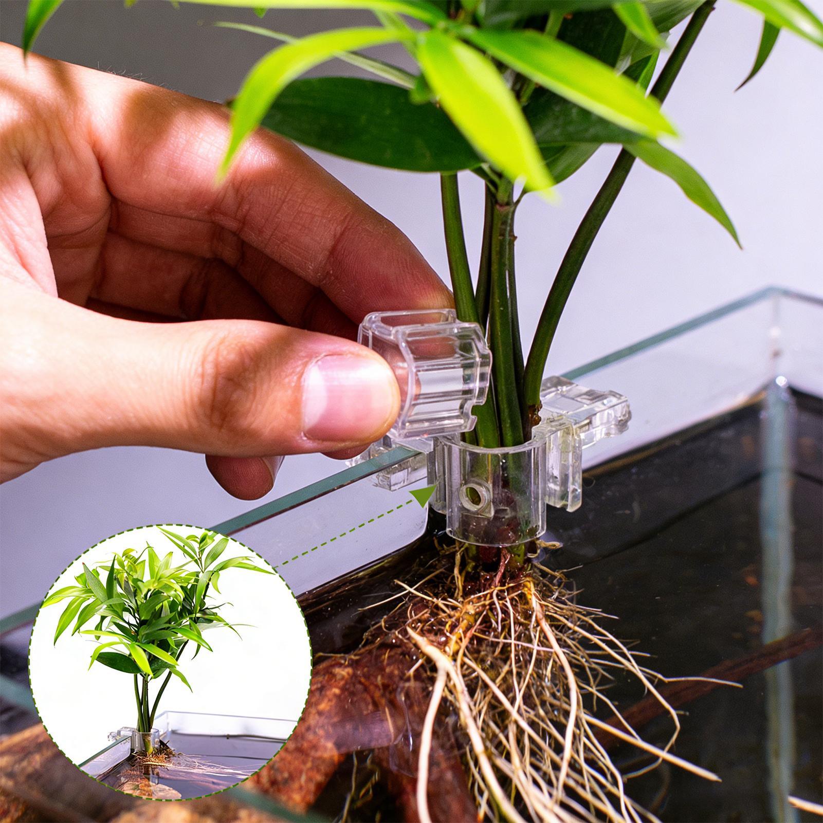 Aquarium Plants Live - 6 個の水族館植物ホルダー透明植栽ブラケット吊り下げ可能な植物ホルダーカップ水槽用家庭栽培植栽栽培
