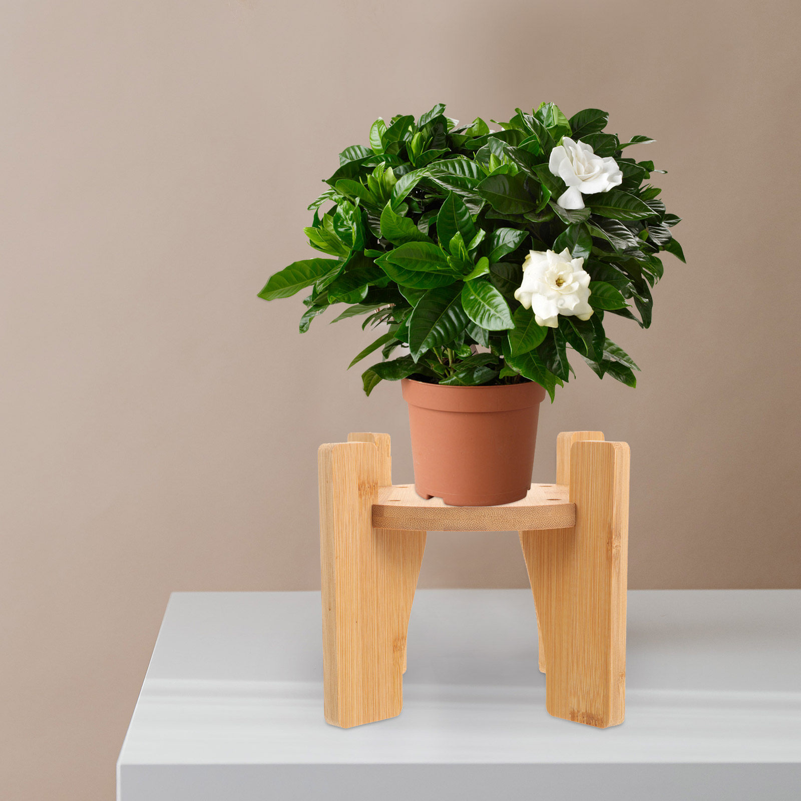Planted Tank - 木製のドリンクディスペンサー台。円形の台座で、ドリンクディスペンサー、ティーポット、花瓶、水槽、観葉植物の展示台として使用可能。インテリアとしても最適。