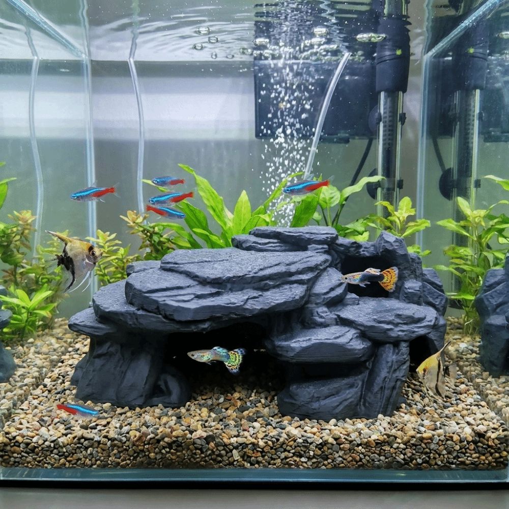 3Dプリント製水槽用岩飾り、リアルな質感の模擬岩、水槽用魚の - Aquarium Plants Live のレビューと価格
