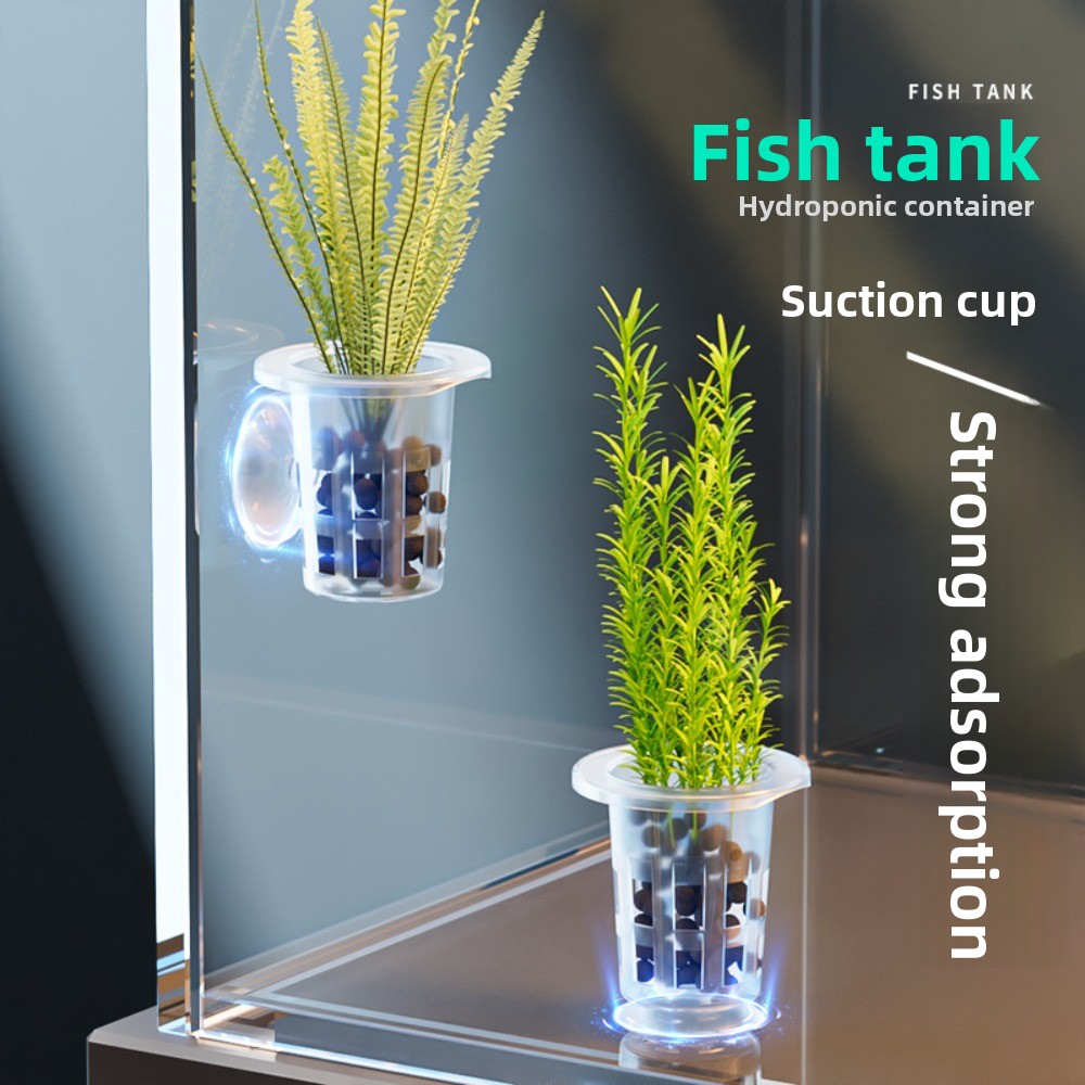 10個入り透明植物水耕栽培ポット、吸盤付きプラスチック製水草 - Plant Aquarium Pot のレビューと価格