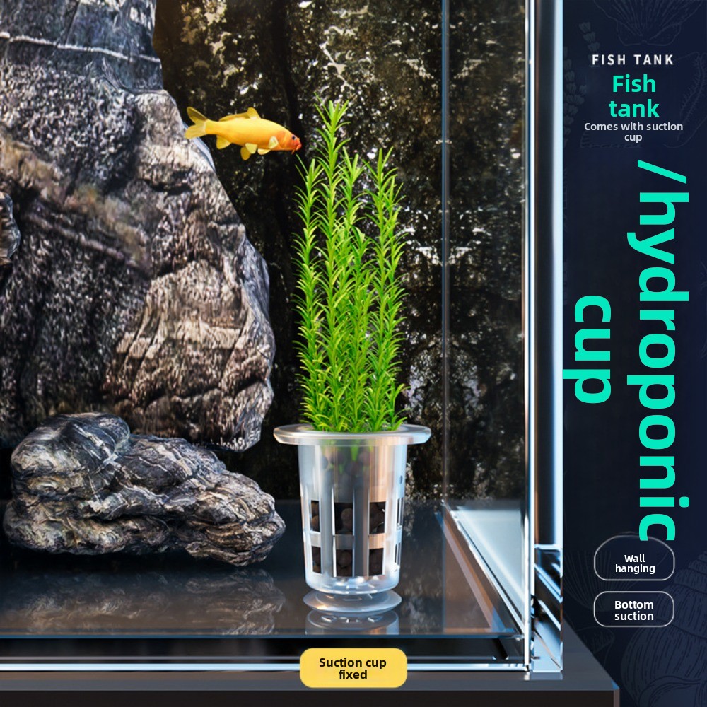 10個入り透明植物水耕栽培ポット、吸盤付きプラスチック製水草 - Plant Aquarium Pot のレビューと価格