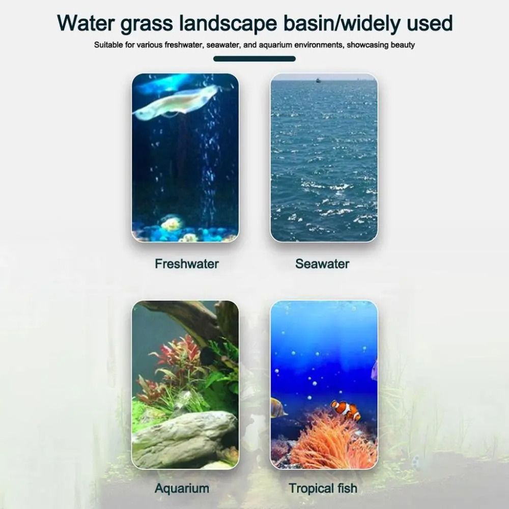 10個入り透明植物水耕栽培ポット、吸盤付きプラスチック製水草 - Plant Aquarium Pot のレビューと価格