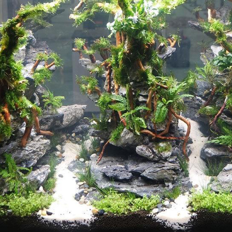 水槽用天然流木根幹、マイクロランドスケープDIY、家庭用水槽 - Aquarium Driftwood のレビューと価格