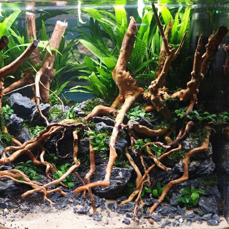水槽用天然流木根幹、マイクロランドスケープDIY、家庭用水槽 - Aquarium Driftwood のレビューと価格