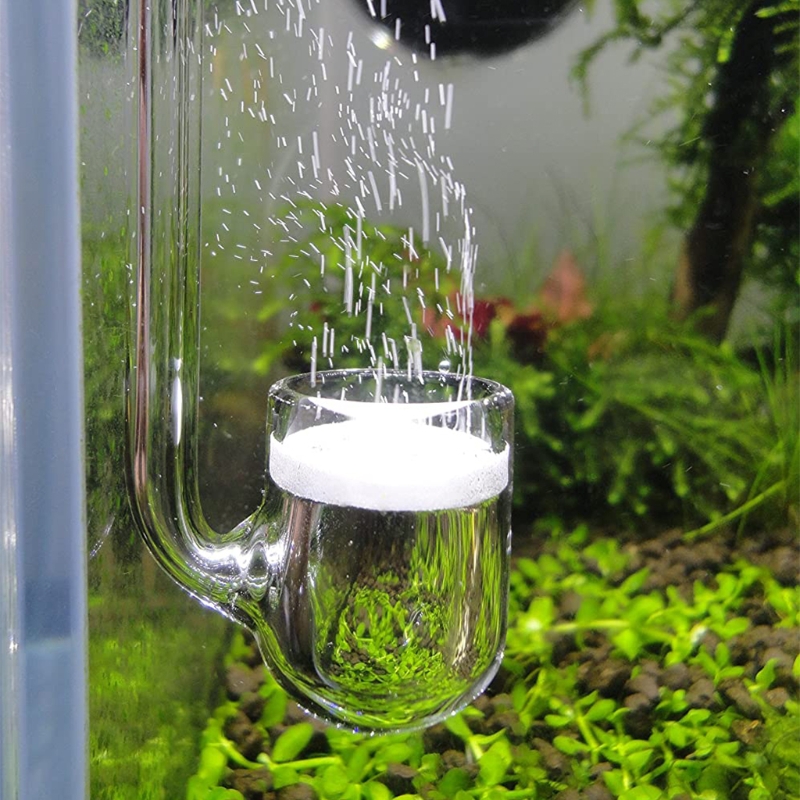 D0AD ガラス CO2 ディフューザー 水槽用 植栽型 水 - Aquarium Liquid Carbon のレビューと価格