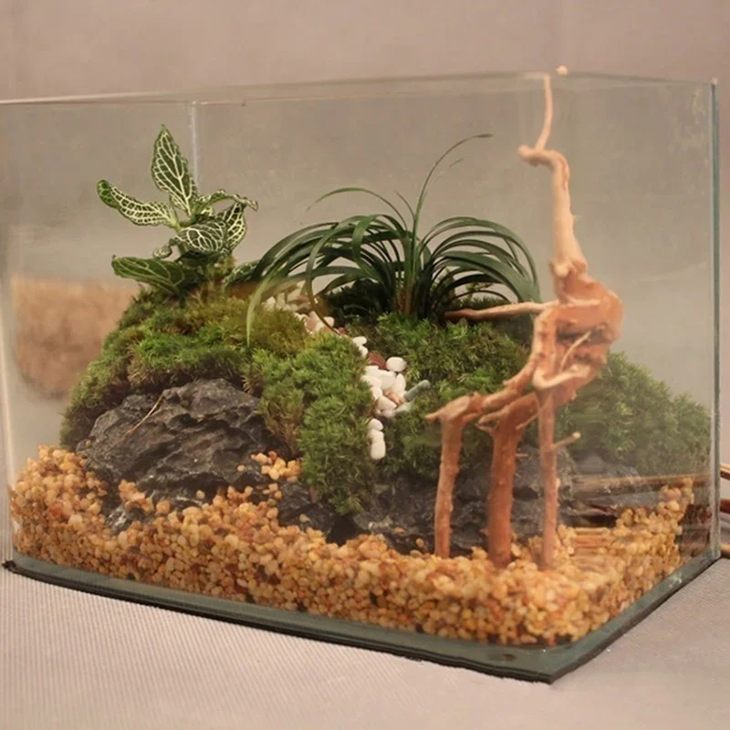 水族館、魚のタンク、爬虫類の根の植物、木の装飾、装飾アクセサ - Aquarium Plants Live のレビューと価格