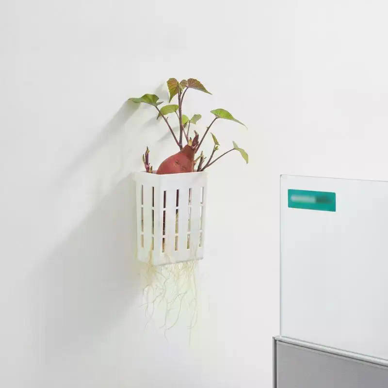 水耕栽培用サポートバスケット1個、水槽用植栽カップ、水草水生 - Plant Aquarium Pot のレビューと価格