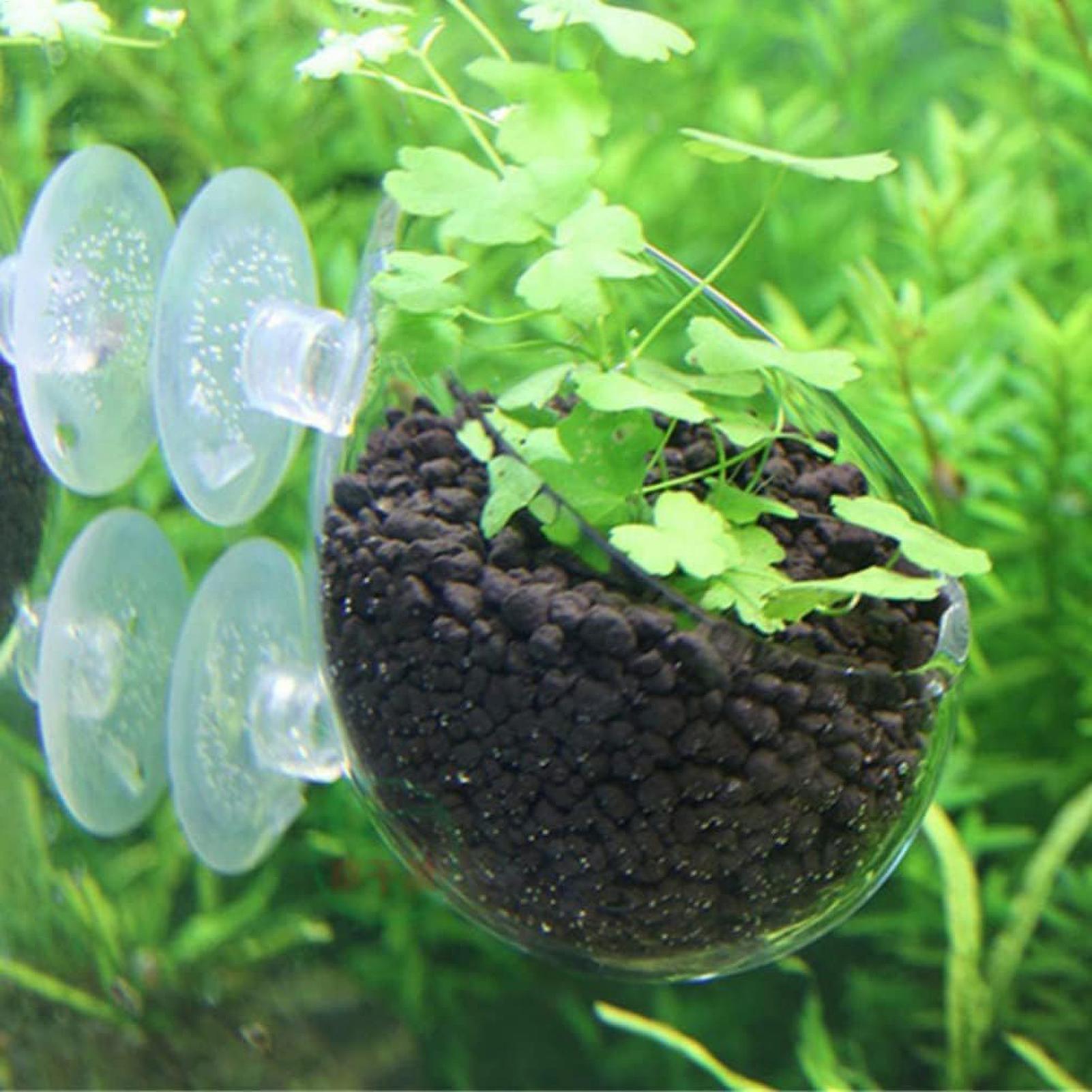 水槽用植物ホルダー ガラス製水草ポット 吸盤付き 生きた植物 - Plant Aquarium Pot のレビューと価格
