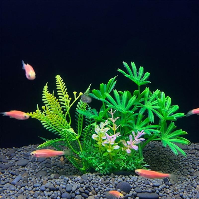 人工水槽装飾植物魚の装飾水族館造園シミュレーション水生植物装 - Live Plant Aquarium のレビューと価格