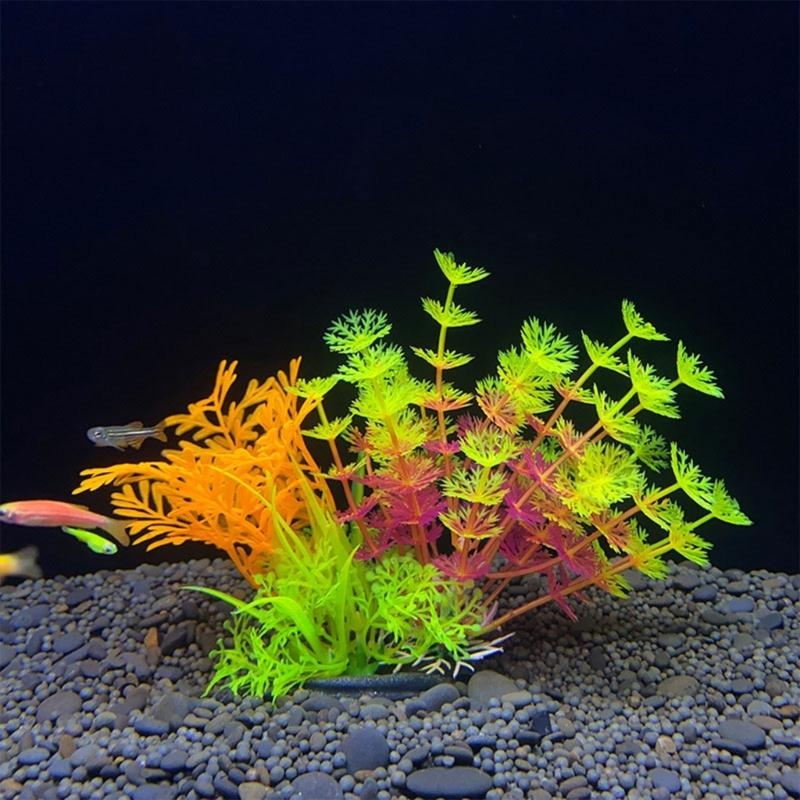 人工水槽装飾植物魚の装飾水族館造園シミュレーション水生植物装 - Live Plant Aquarium のレビューと価格