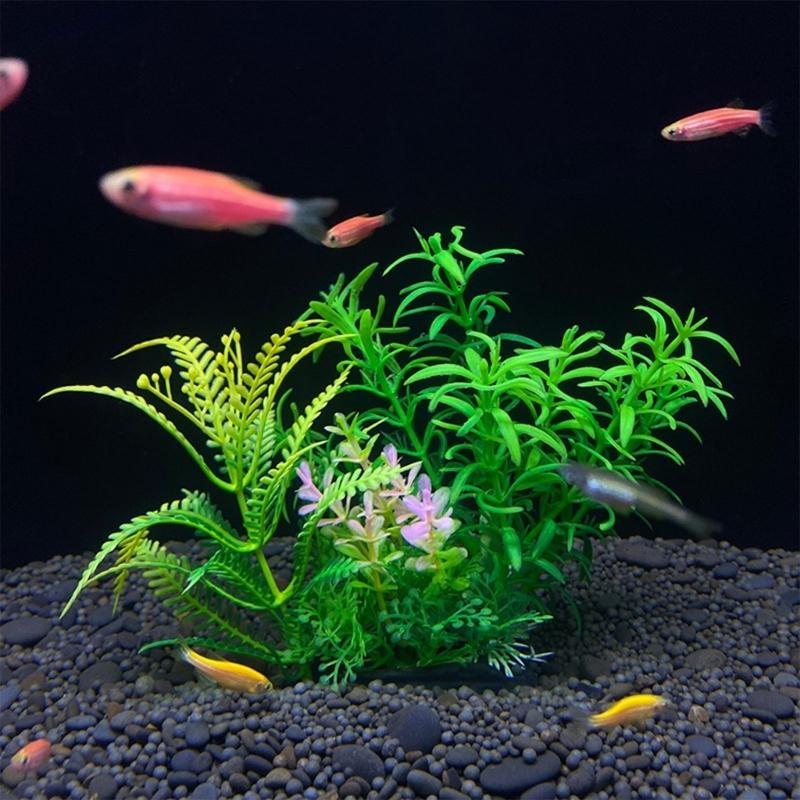 人工水槽装飾植物魚の装飾水族館造園シミュレーション水生植物装 - Live Plant Aquarium のレビューと価格