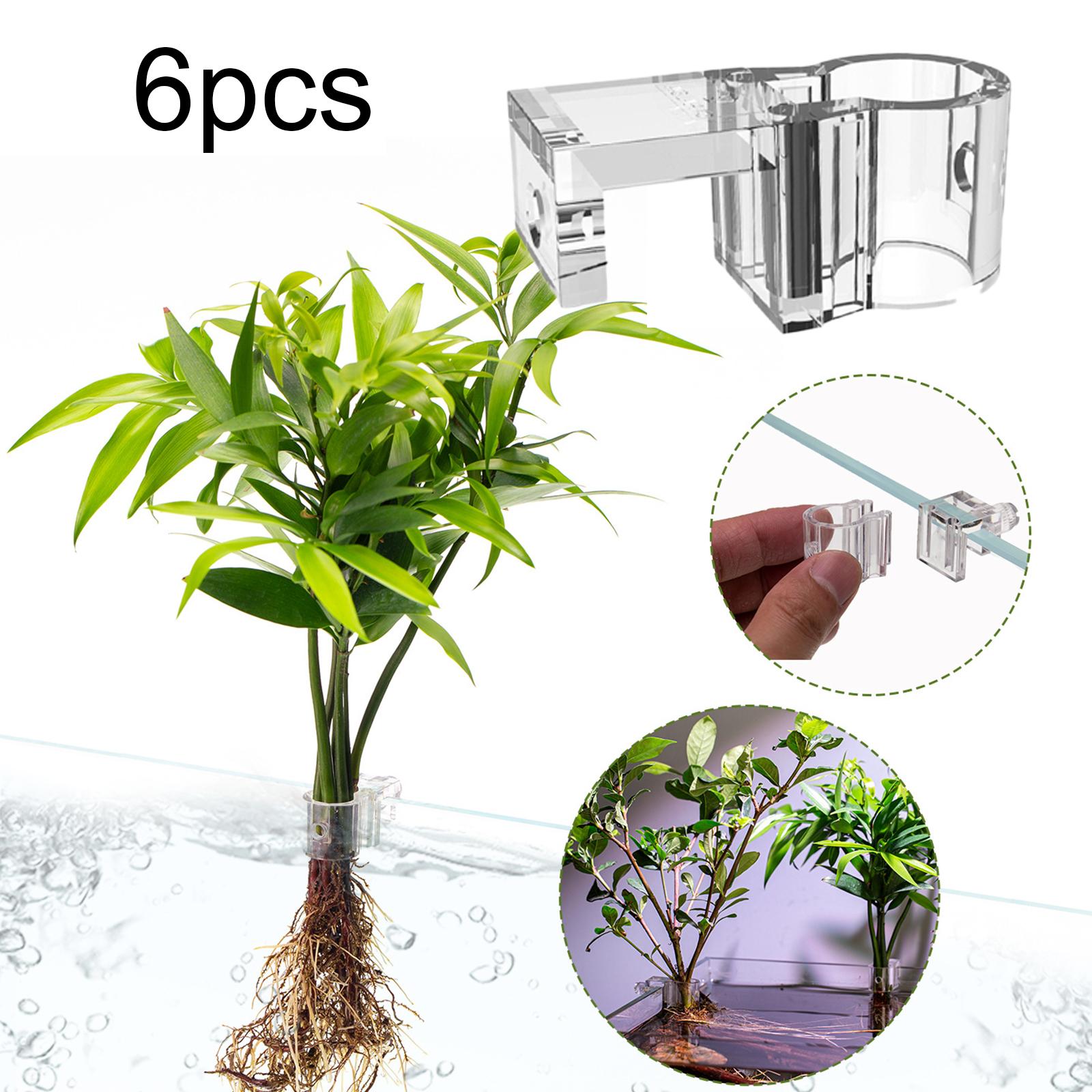 6個入り水槽植物ホルダーサポートカップ ミニ水槽プランターポ - Aquarium Fertilizer のレビューと価格