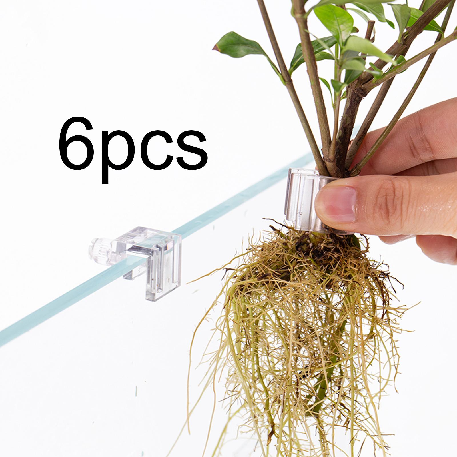6個入り水槽植物ホルダーサポートカップ ミニ水槽プランターポ - Aquarium Fertilizer のレビューと価格