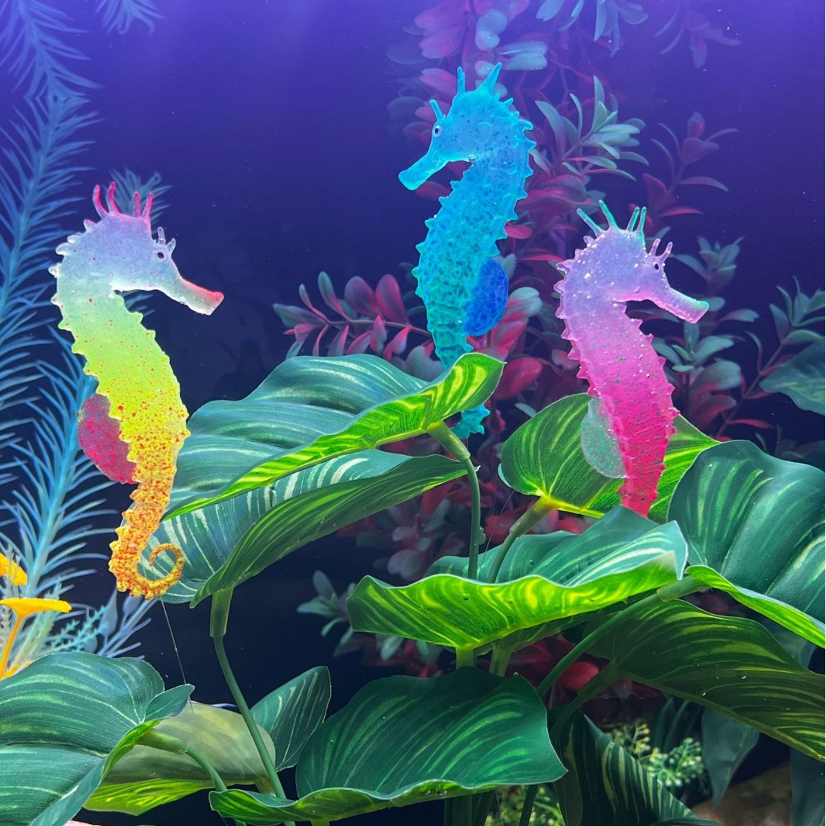 発光シミュレーションタツノオトシギ水槽装飾、人工魚オーナメン - Aquarium Plant Substrate のレビューと価格
