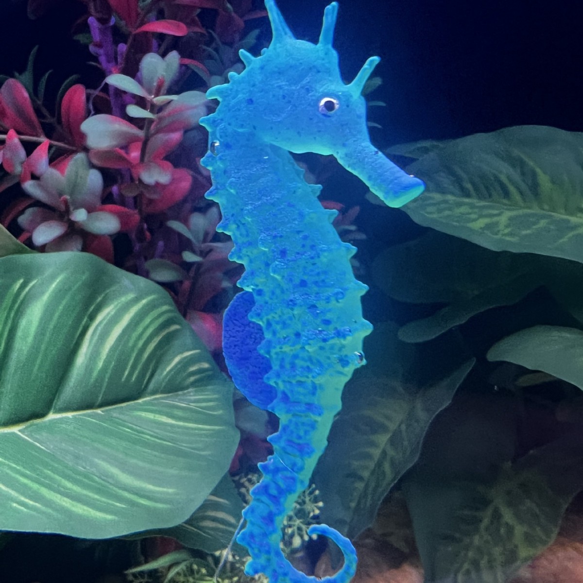 発光シミュレーションタツノオトシギ水槽装飾、人工魚オーナメン - Aquarium Plant Substrate のレビューと価格