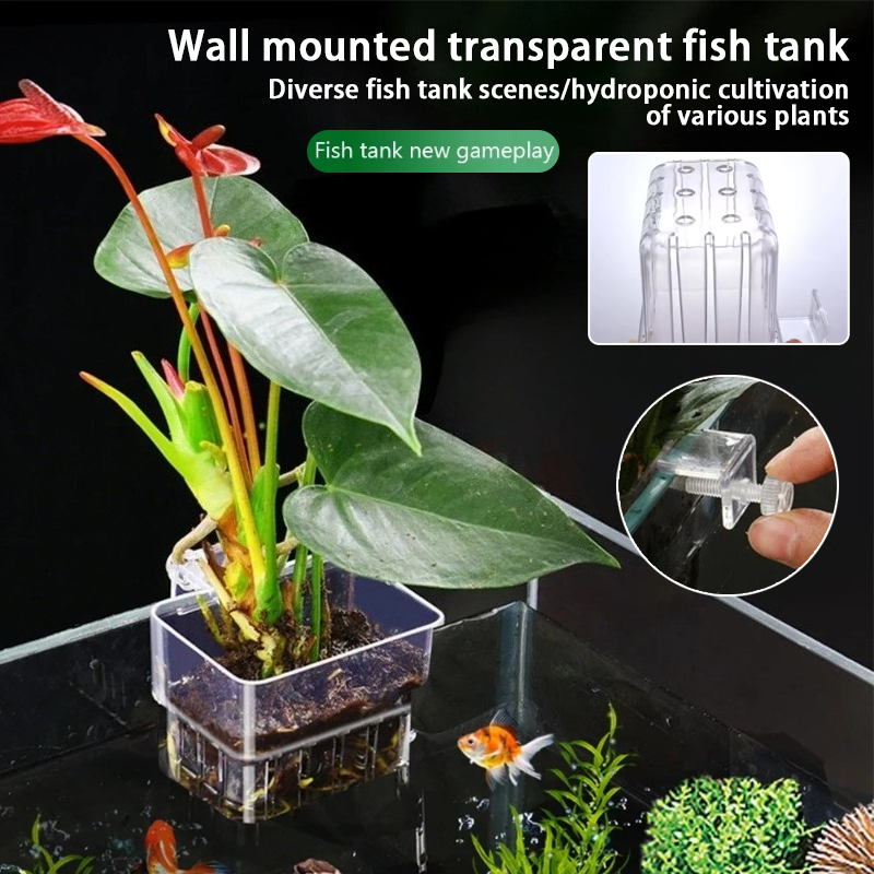 水槽吊り下げプランターカップ 壁掛け水生植物ホルダー 水槽プ - Plant Aquarium Pot のレビューと価格