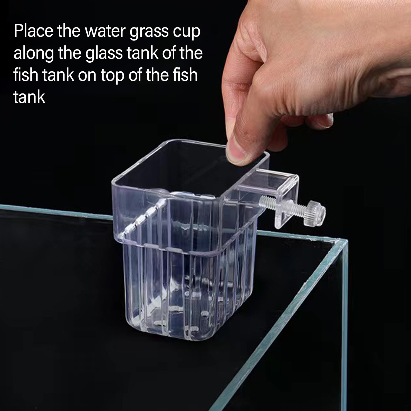 透明アクリル製の植物ホルダー。水槽やアクアリウム用の水耕栽培 - Aquarium Plant Holder のレビューと価格