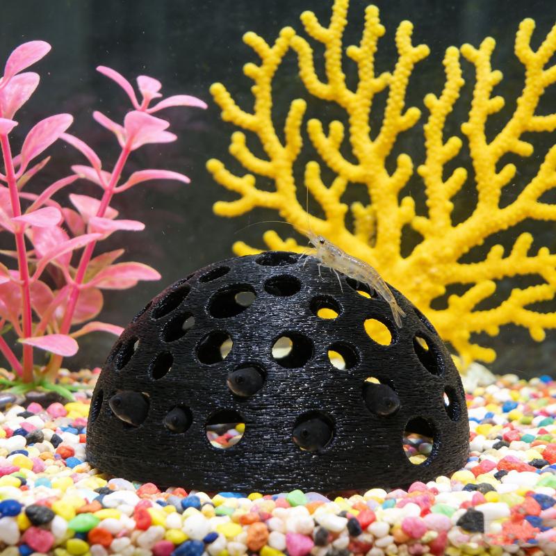 水槽用隠れ洞窟シェルター 小魚や繁殖休憩用の地下洞窟 水槽の - Aquarium Plants Live のレビューと価格