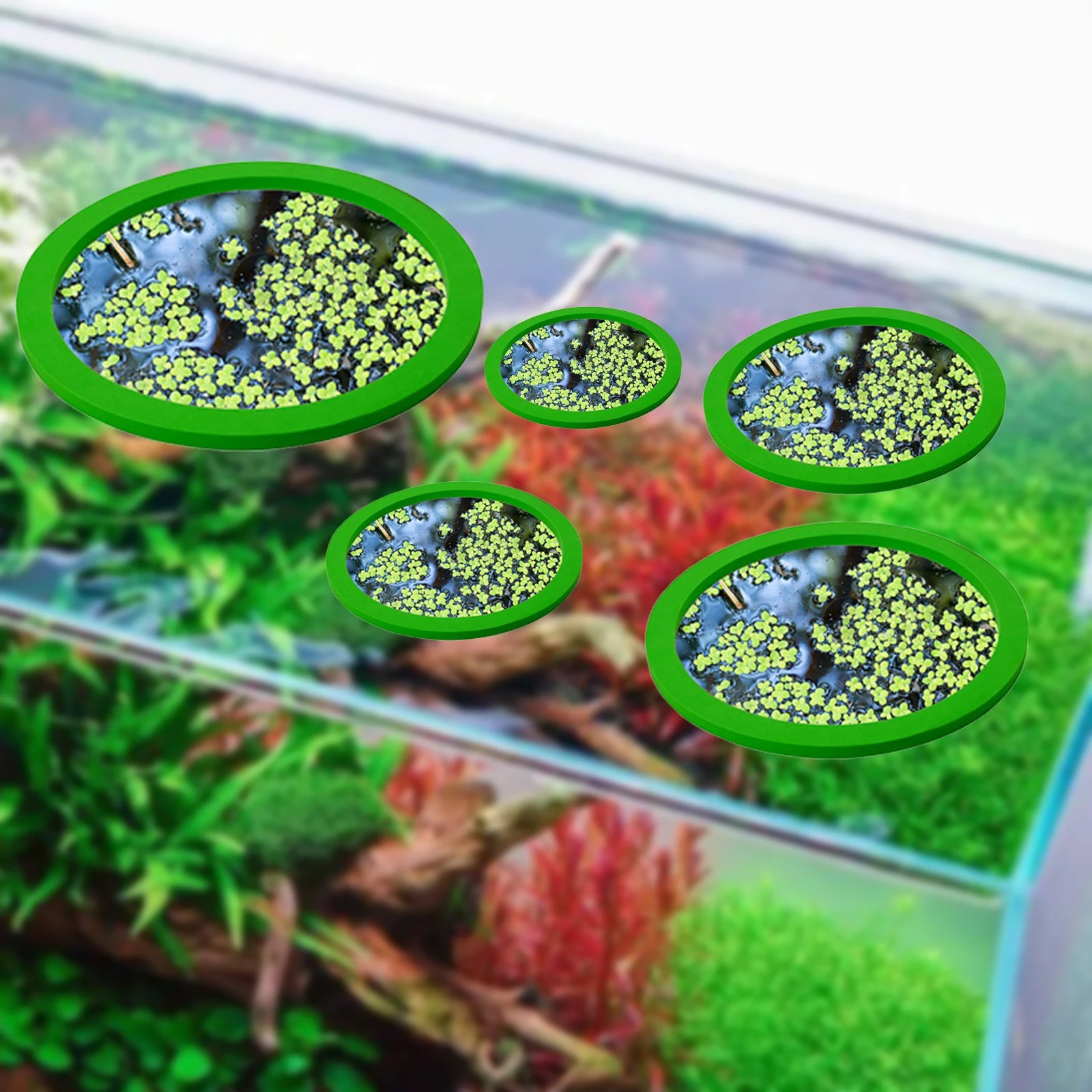 5 個 EVA 魚給餌リング水族館浮遊植物囲い水槽フロート植 - Planted Tank のレビューと価格