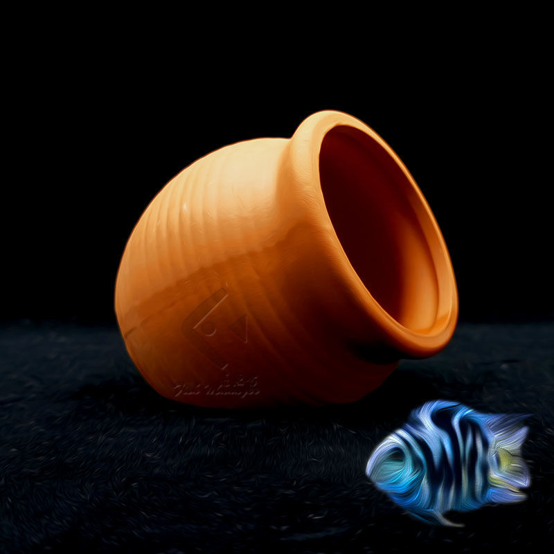 ミニセラミック水族館,水槽,エビ,麻,粘土,造園,装飾品 - Aquarium Driftwood のレビューと価格