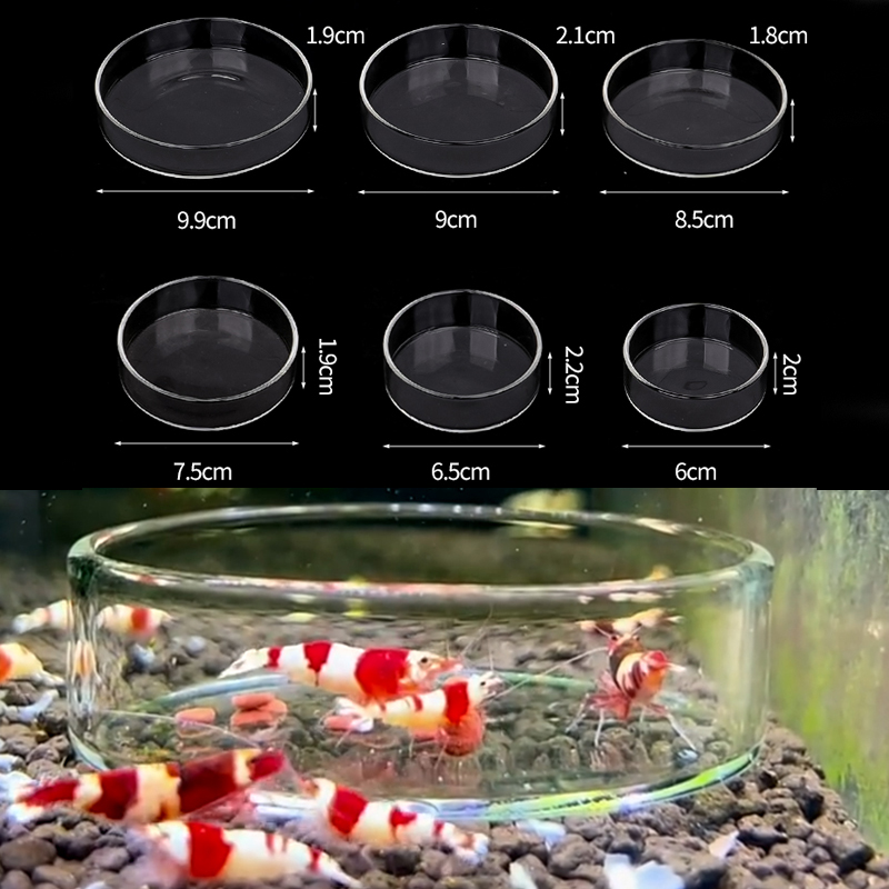エビ給餌皿高透明ガラス給餌皿魚用タンククリアフィーダーボウル - Aquarium Fertilizer のレビューと価格