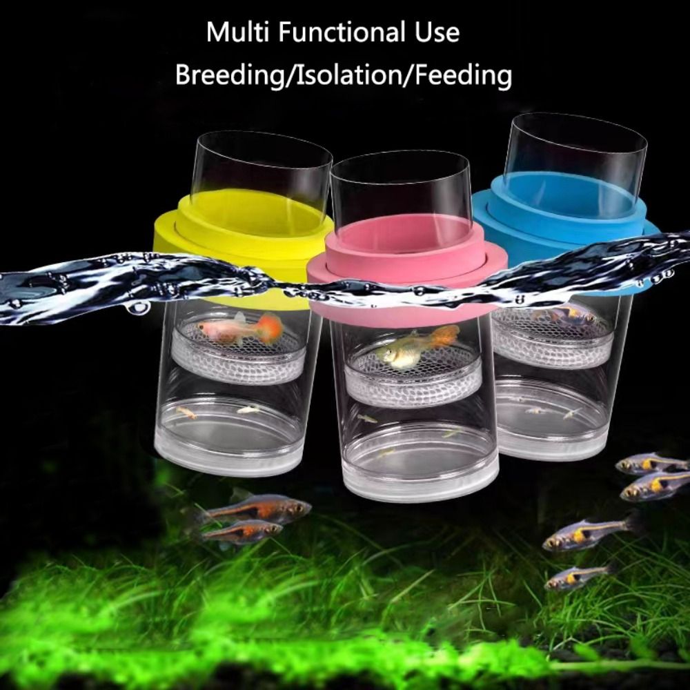 プラスチックフローティング魚飼育隔離ボックス水族館ブリーダー - Aquarium Fertilizer のレビューと価格