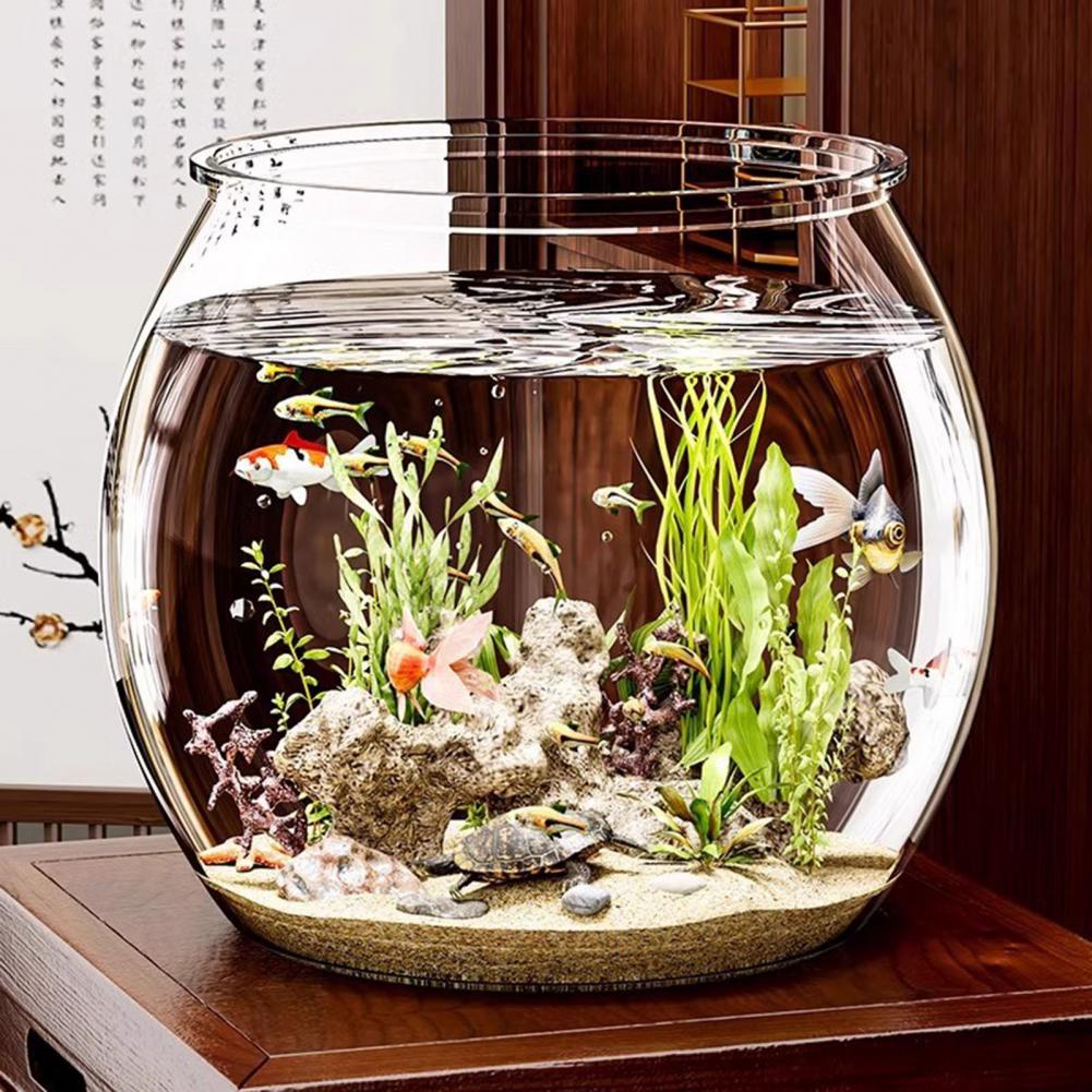 透明なプラスチック製の丸い金魚鉢、水槽、リビングルームの卓上 - Plant Aquarium Pot のレビューと価格