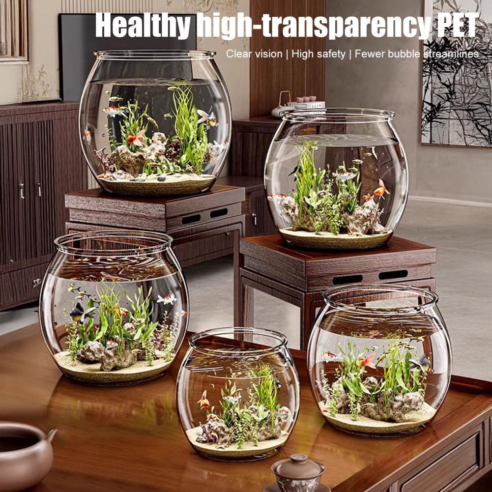 透明なプラスチック製の丸い金魚鉢、水槽、リビングルームの卓上 - Plant Aquarium Pot のレビューと価格
