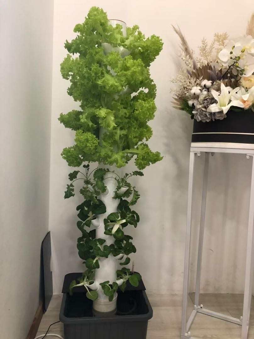 垂直水耕栽培タワー エアロポニックタワー ハーブ、果物、野菜 - Planted Tank のレビューと価格