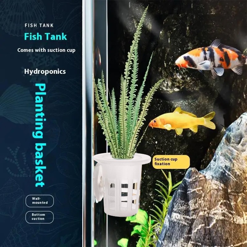 10/20/30個入りプラスチック製水槽用植栽カップ、吸盤付 - Aquarium Plants Live のレビューと価格