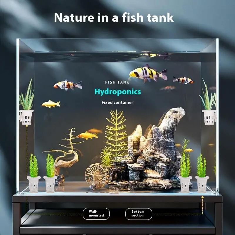 10/20/30個入りプラスチック製水槽用植栽カップ、吸盤付 - Aquarium Plants Live のレビューと価格