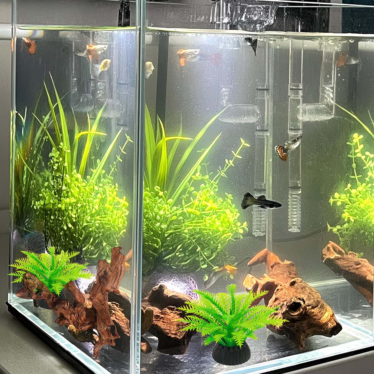 5～10cm 天然沈没木 水槽景観装飾 魚タンク飾り 爬虫類 - Aquarium Driftwood のレビューと価格