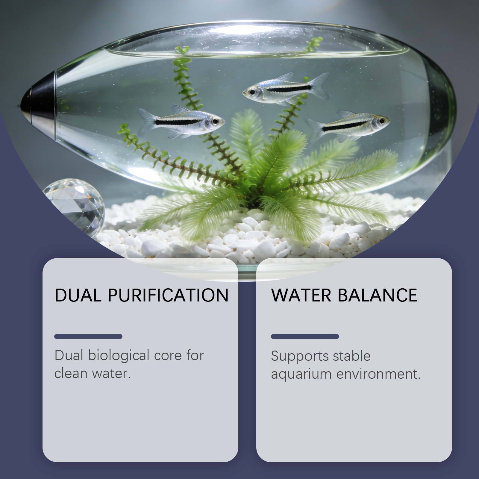 水槽用藻類除去タブレット、濁った緑色の水をすばやく浄化、藻類 - Planted Aquarium Algae Control のレビューと価格