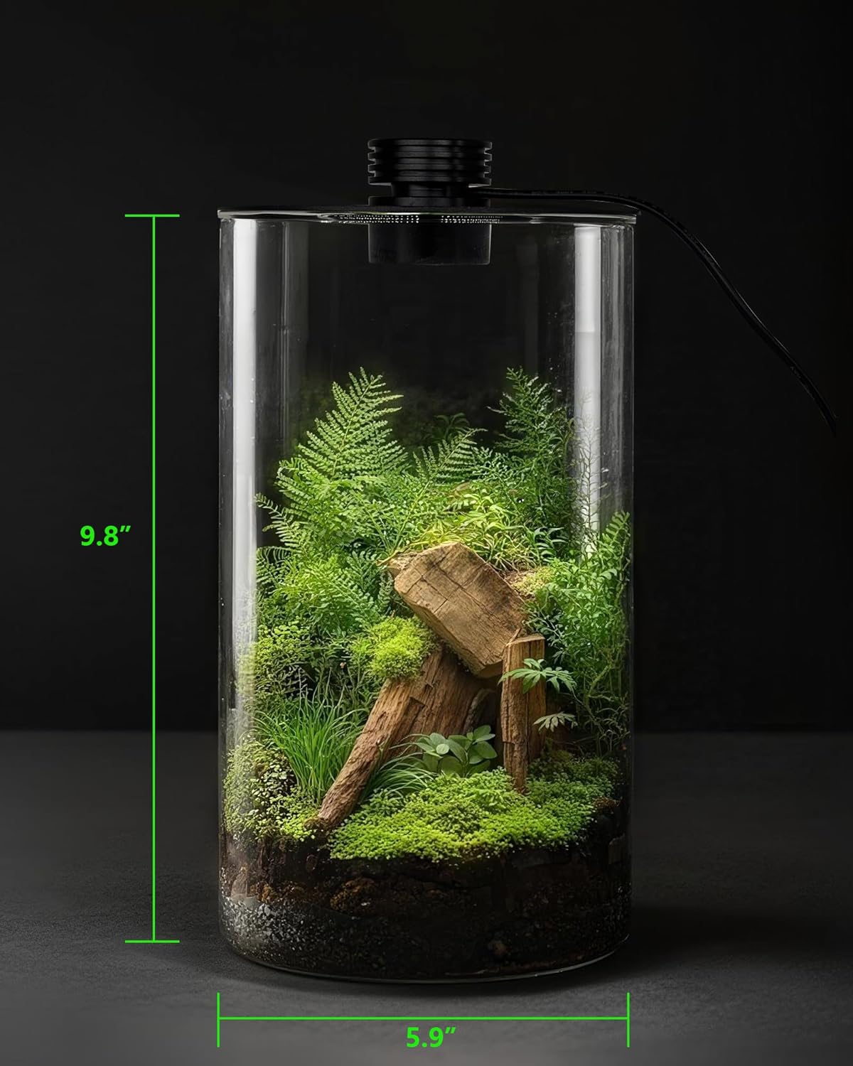 屋内ガラス製テラリウム（育成ライト付き）、高さ9.8インチ× - Planted Tank のレビューと価格