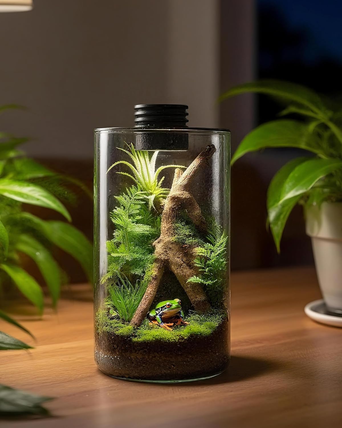 屋内ガラス製テラリウム（育成ライト付き）、高さ9.8インチ× - Planted Tank のレビューと価格
