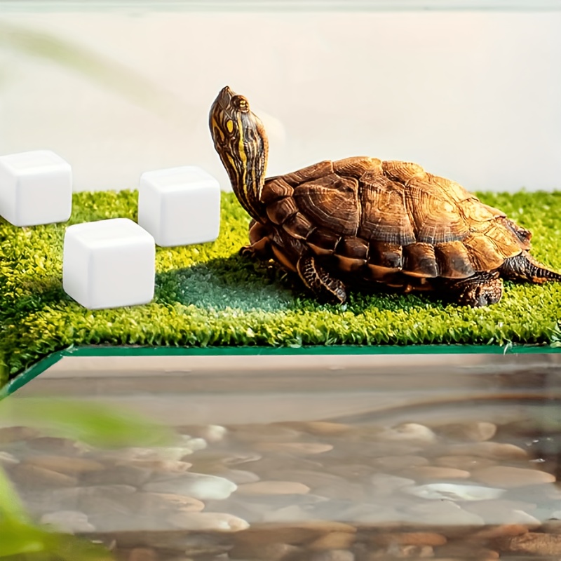 6個入り 魚タンク用カルシウムブロック ミネラル アクアリウ - Aquarium Plants Live のレビューと価格